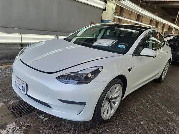 TESLA MODEL 3 2023 5YJ3E1EA0PF555015 image